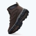 Men's trekking boots REGATTA Holcombe peat 14