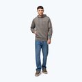 Men's sweatshirt Pitbull Sampson Hooded Sweatshirt taupe 2