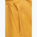 Men's trousers Pitbull Lancaster 2 Track Pants washed yellow 10