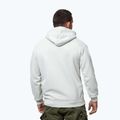 Men's sweatshirt Pitbull Orlando Hooded white stone 3