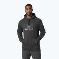 Men's trekking sweatshirt Helly Hansen Nord Graphic Pull Over grey 62975_981