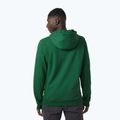 Men's trekking sweatshirt Helly Hansen F2F Organic Cotton Hoodie malachite 2