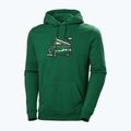 Men's trekking sweatshirt Helly Hansen F2F Organic Cotton Hoodie malachite 4
