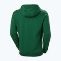 Men's trekking sweatshirt Helly Hansen F2F Organic Cotton Hoodie malachite 5