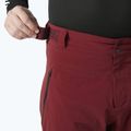 Men's ski trousers Helly Hansen Alpha Lifaloft mars red 3