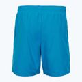Men's Oakley Clear Lake 18" Volley swimming shorts blue 2