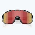 Sunglasses Bliz Vision transparent dark grey/brown red multi 3