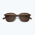 Sunglasses Ray-Ban Leonard tortoise/brown polarized 3