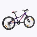 Kellys Lumi 30 20" children's bike purple 72390 3