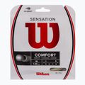 Wilson Sensation 16 tennis string 12.2m white WRZ941000+