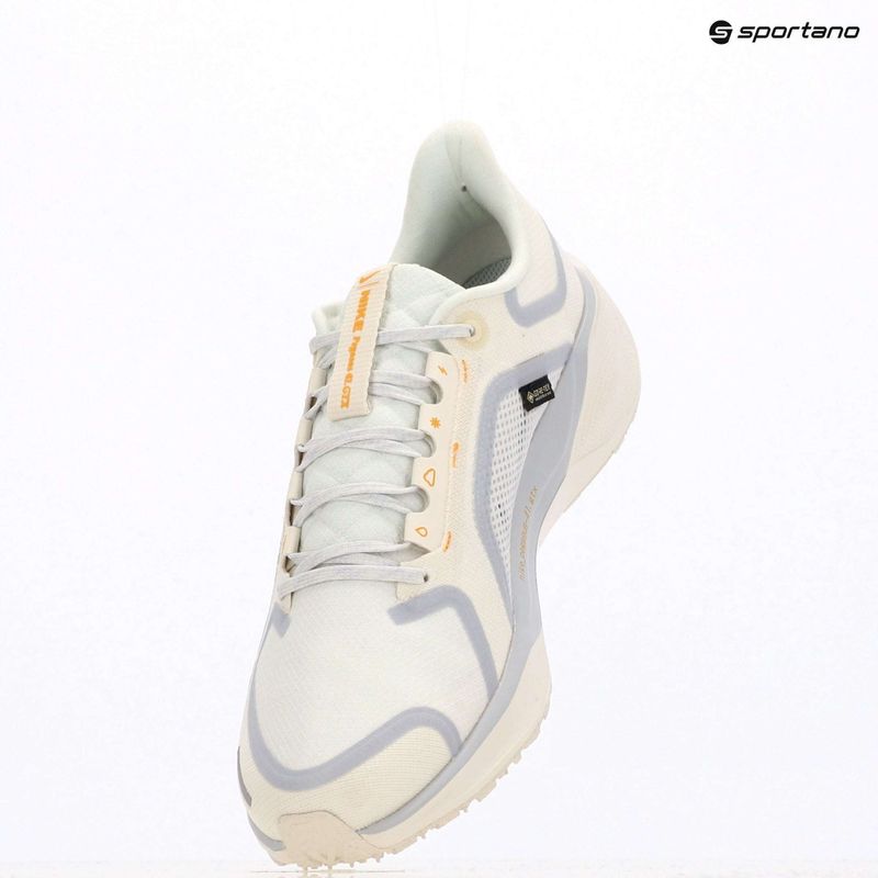 Men's running shoes Nike Pegasus 41 GTX sail/football grey/sundial/ashen slate 13