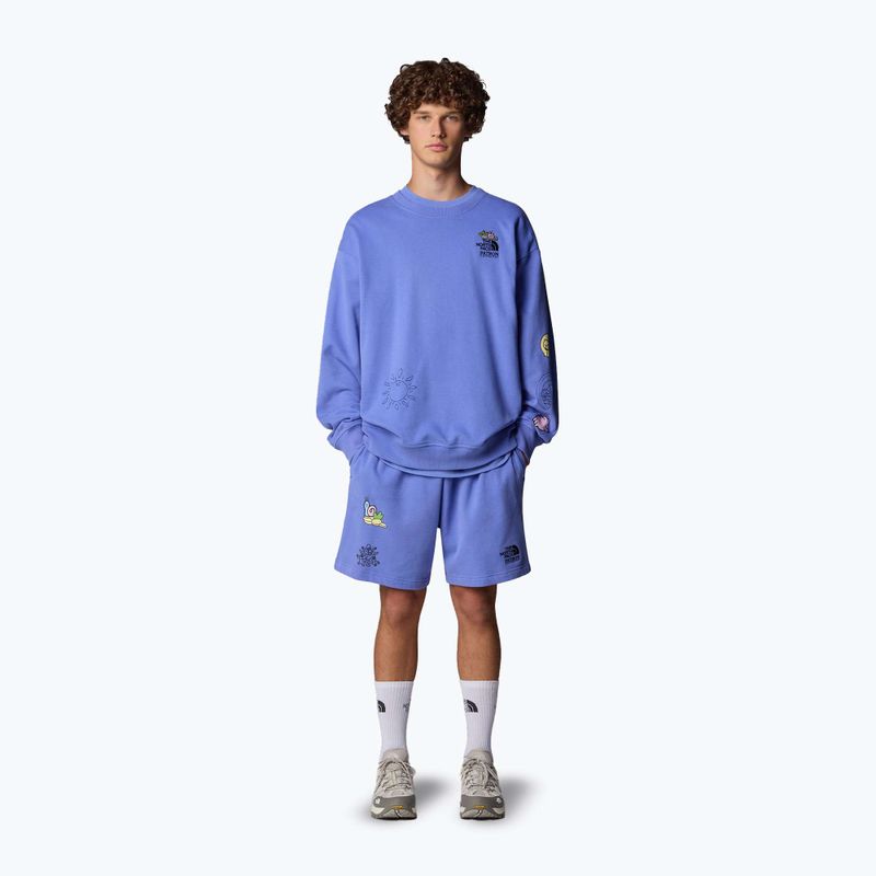 The North Face Mountain Cleanup Relaxed virtual blue shorts 2