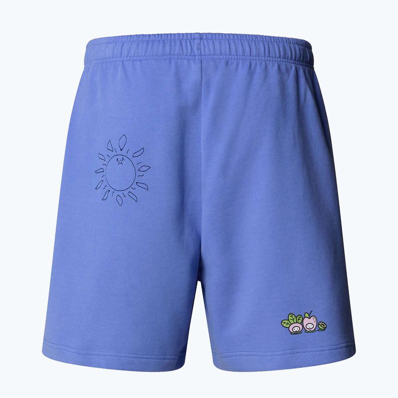 The North Face Mountain Cleanup Relaxed virtual blue shorts 5