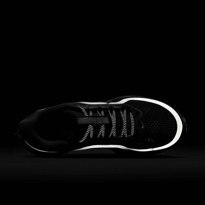 Women's running shoes Nike Pegasus Premium black/metallic silver/black 10