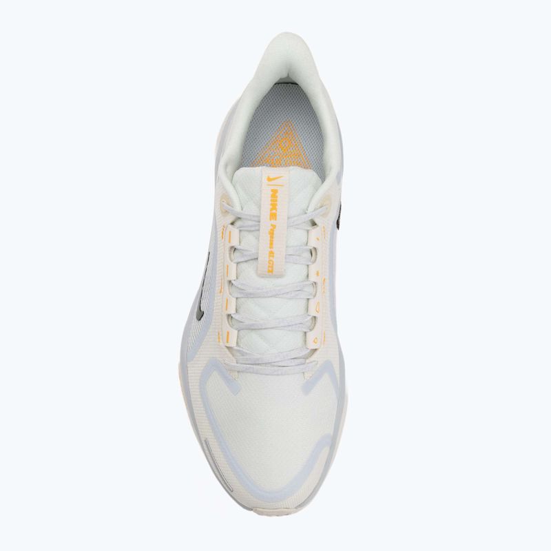 Men's running shoes Nike Pegasus 41 GTX sail/football grey/sundial/ashen slate 5