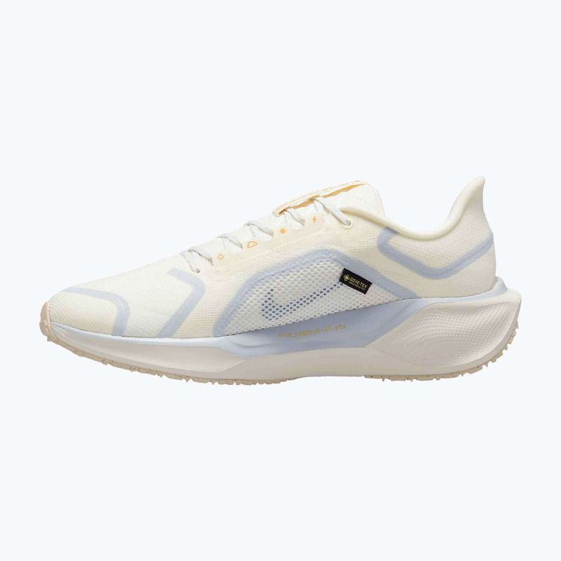 Men's running shoes Nike Pegasus 41 GTX sail/football grey/sundial/ashen slate 9