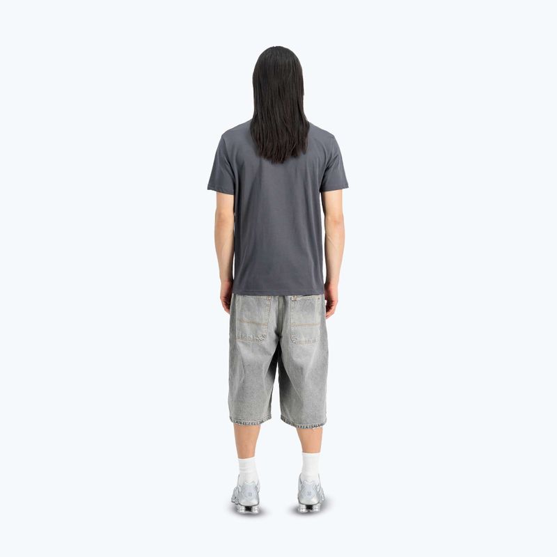 Alpha Industries men's t-shirt Hawaii vintage grey 3