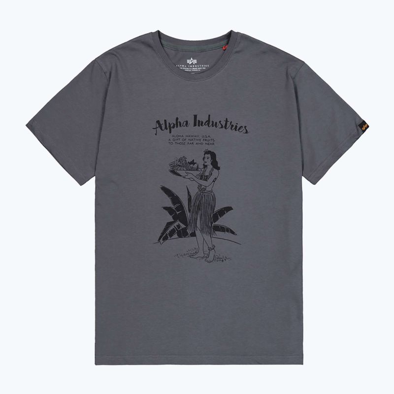 Alpha Industries men's t-shirt Hawaii vintage grey 7