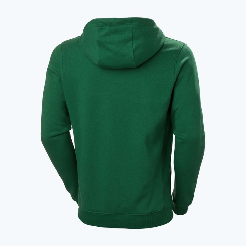 Men's trekking sweatshirt Helly Hansen F2F Organic Cotton Hoodie malachite 5