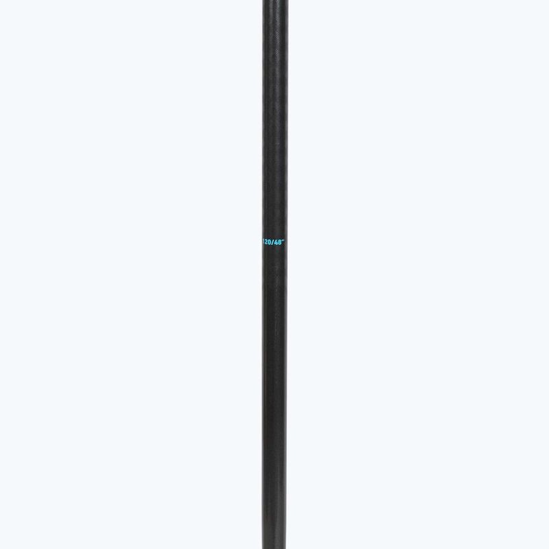 Ski poles HEAD Frontside carbon black/speed blue 4