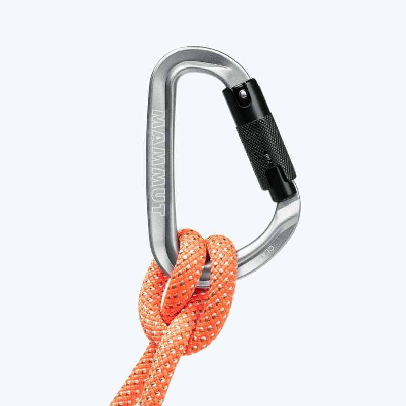 Climbing carabiner Mammut Classic HMS Twistlock Plus light grey 5