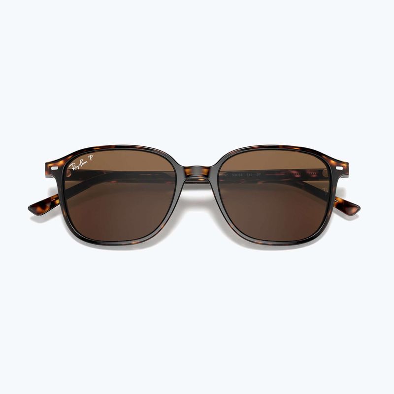Sunglasses Ray-Ban Leonard tortoise/brown polarized 3