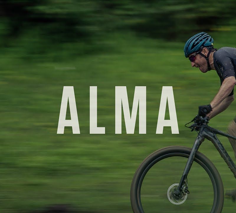 Orbea Alma H50 mountain bike black L22018L3 17