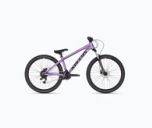 Youth bicycles