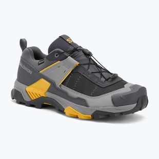 Men's trekking boots Salomon X ULTRA 5 GTX turbulence/monument/spicy mustard
