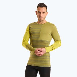Men's thermal active sweatshirt ORTOVOX 185 Rock'N'Wool sweet alison