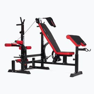 XTREXO BenchFit Max training bench with stand and prayer bar black