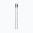 Trekking poles